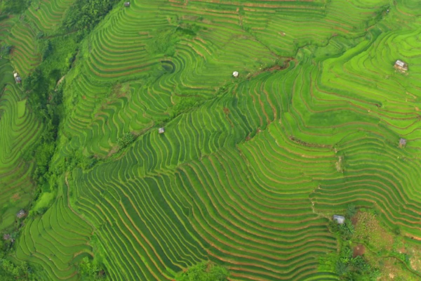 7D6N Magical Mu Cang Chai & Stunning Sapa Tour - photo 3